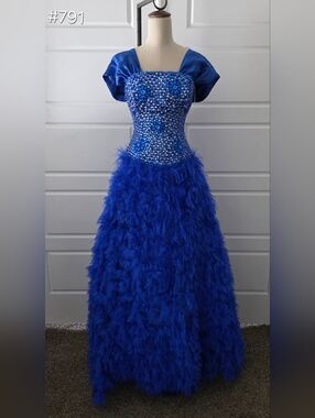 Royal Blue Feathered Ball Gown with Jeweled Bodice and Sleeves